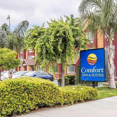 Comfort Inn & Suites Salinas Luaran gambar